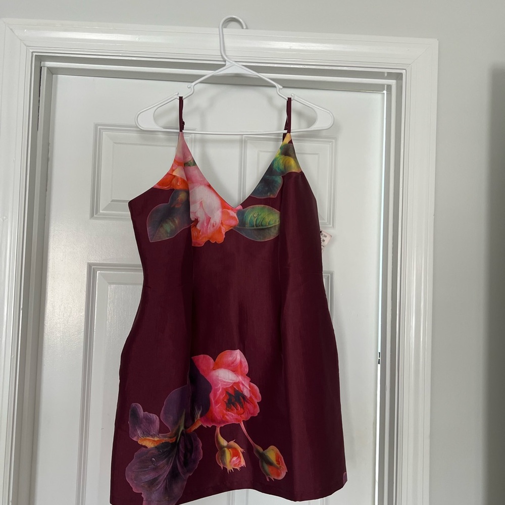 NWT Luxxel dress
